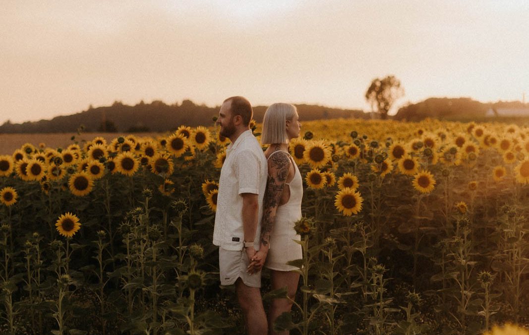 Liebesgeschichte zwischen Sonnenblumen