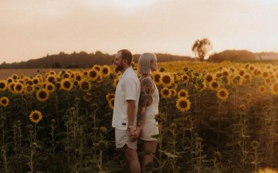 Liebesgeschichte zwischen Sonnenblumen